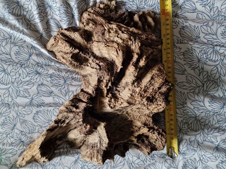 Large Aquarium Bog Wood
