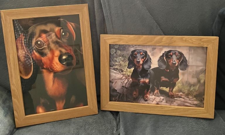 Two A4 size canvas art prints of dachshund dogs