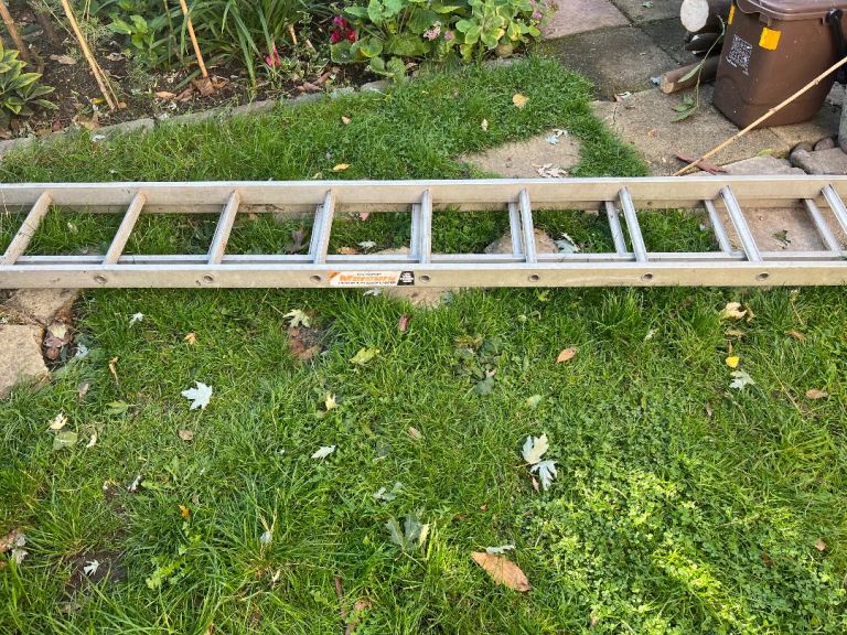 image for Extra long ladder