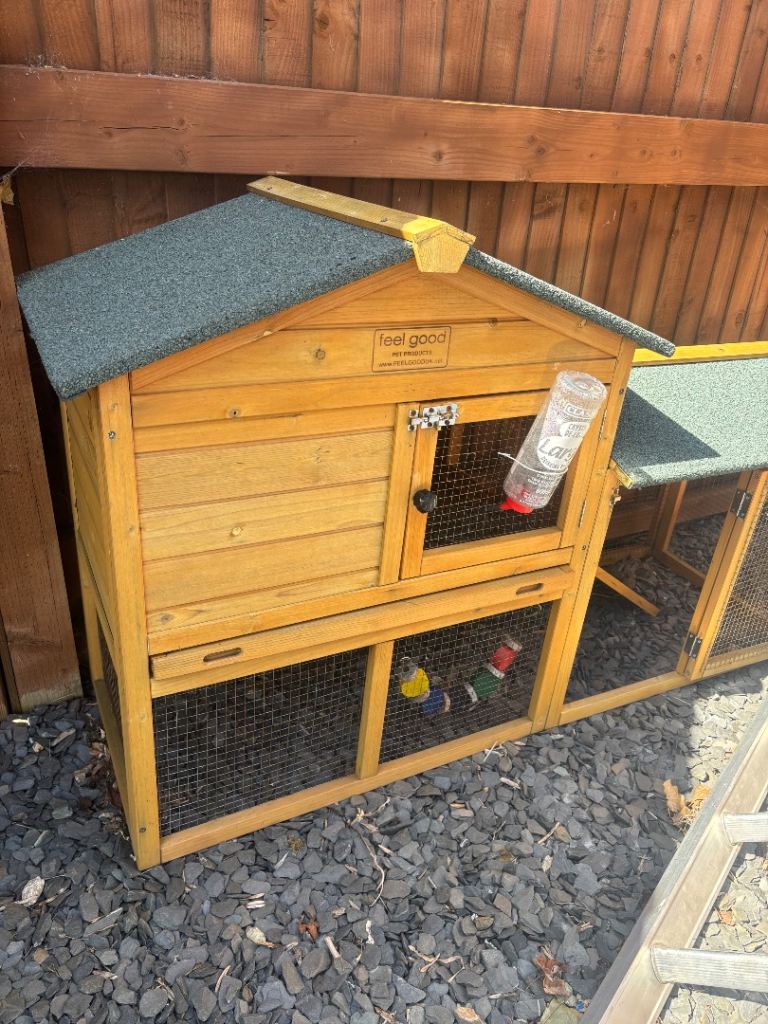 Rabbit hutch