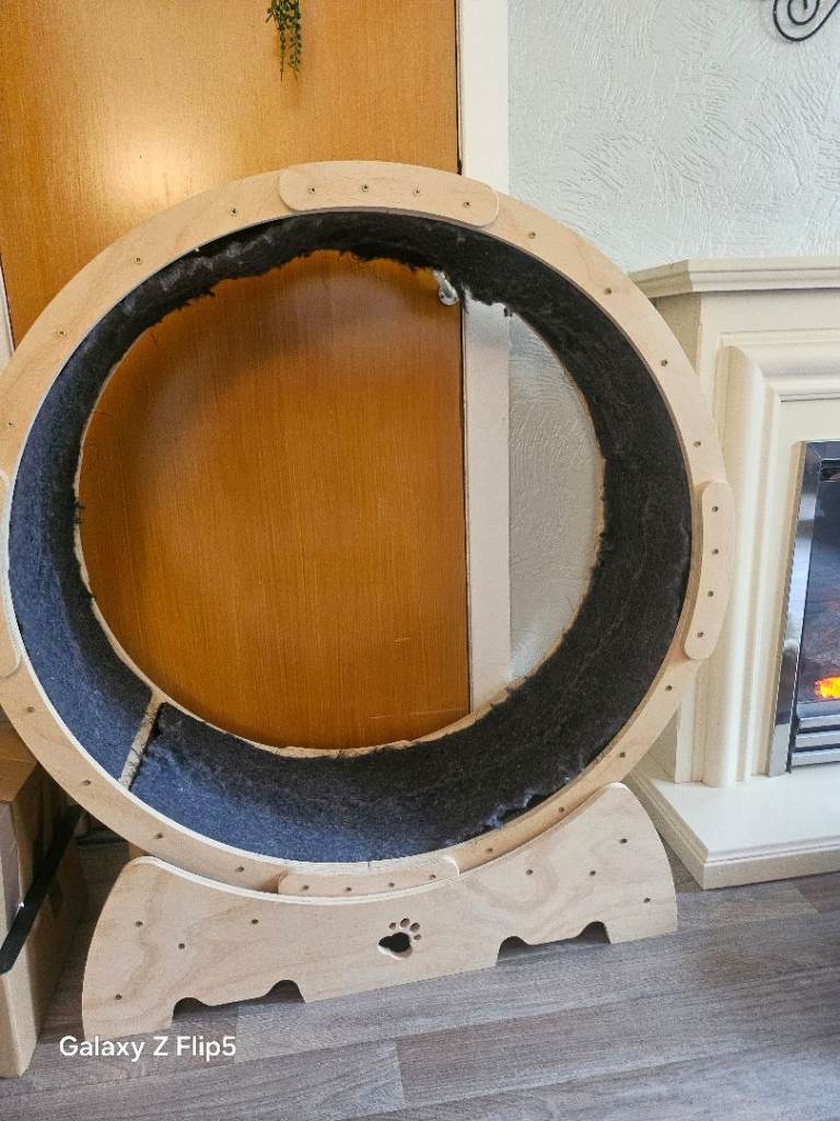 Cat exercise wheel 