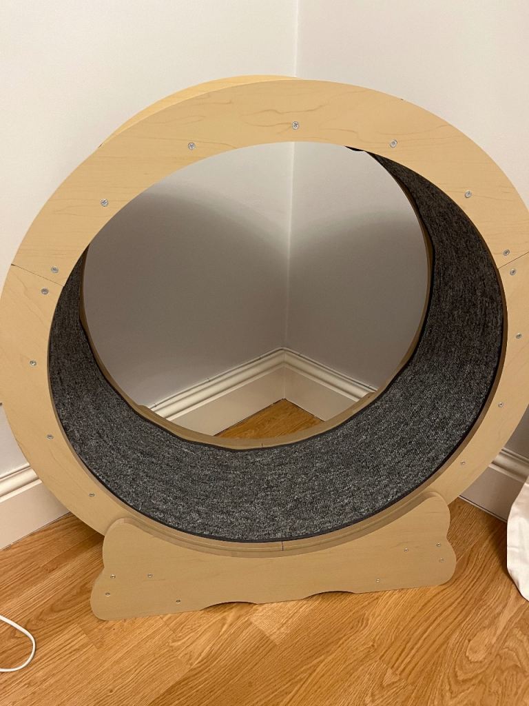 Large Cat Exercise Wheel
