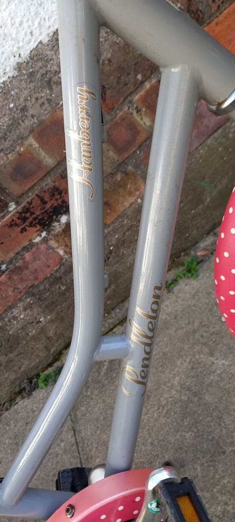 Kids Pendleton Hanberry Bike. | in Hull, East Yorkshire | Gumtree