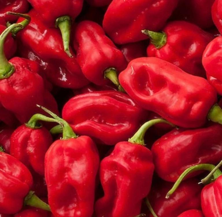 1kg Fresh Green Scotch Bonnet Chillies 