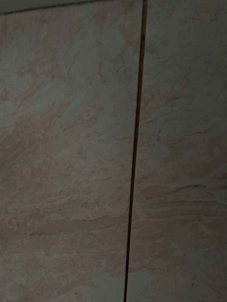 Floor and wall tiles 