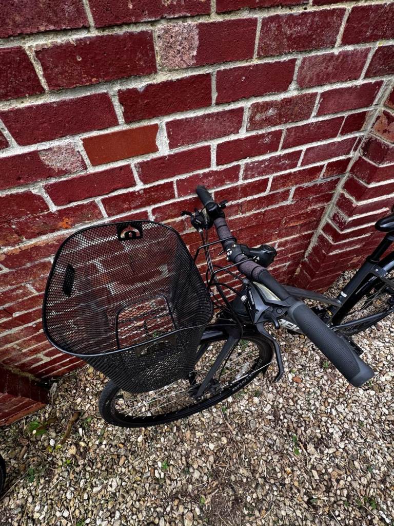 Ladies Trek FX1 hybrid bicycle (medium)