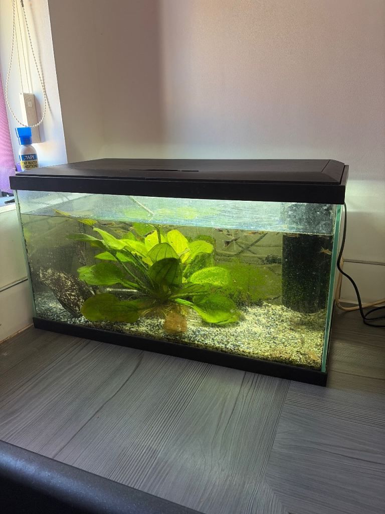 Glass Aquarium Fish Tank with Lid – Good Condition
