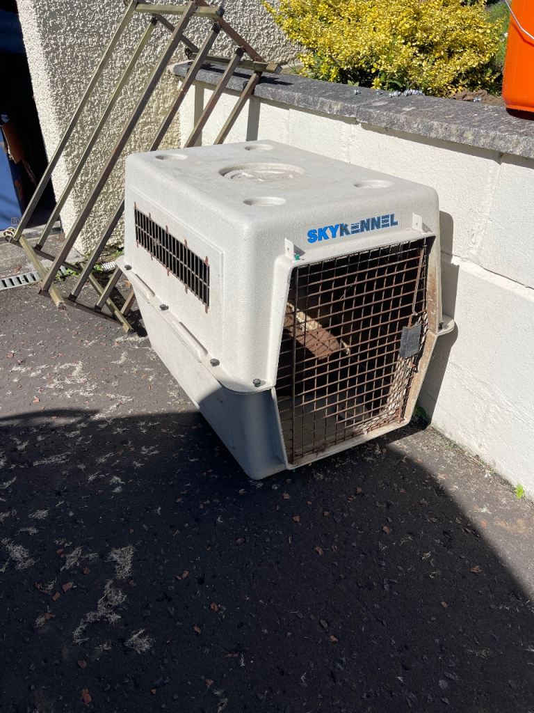 Large SkyKennel Dog Crate / Airline Pet Carrier – Labrador Size