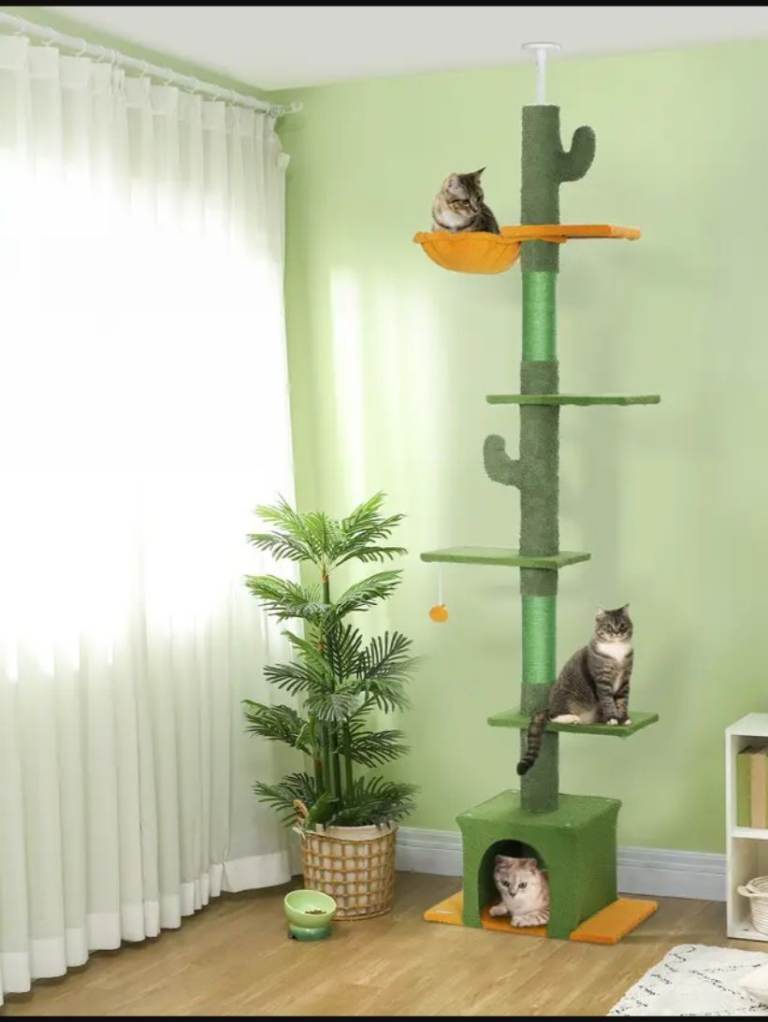 Wanted cat tree/tower