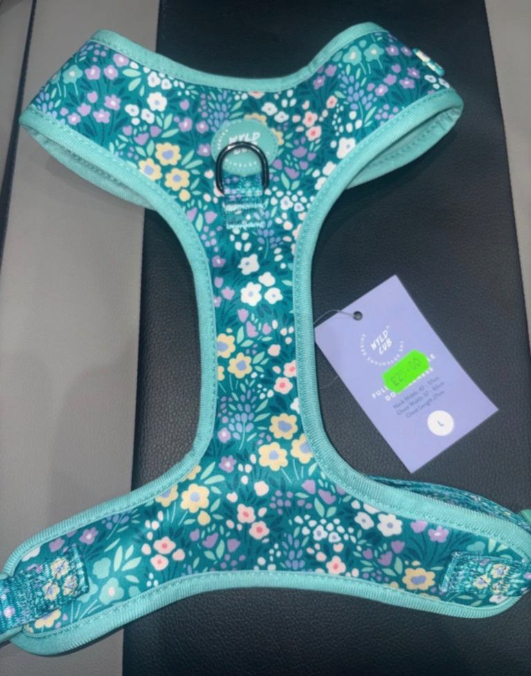 Dog Harness - Large - Green