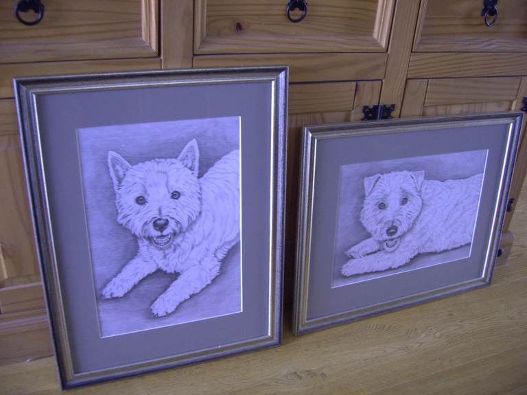 Vintage 2 x Framed Highland Terrier Dogs Pencil. Professional Nice Frames 54x44x2cm. Nice