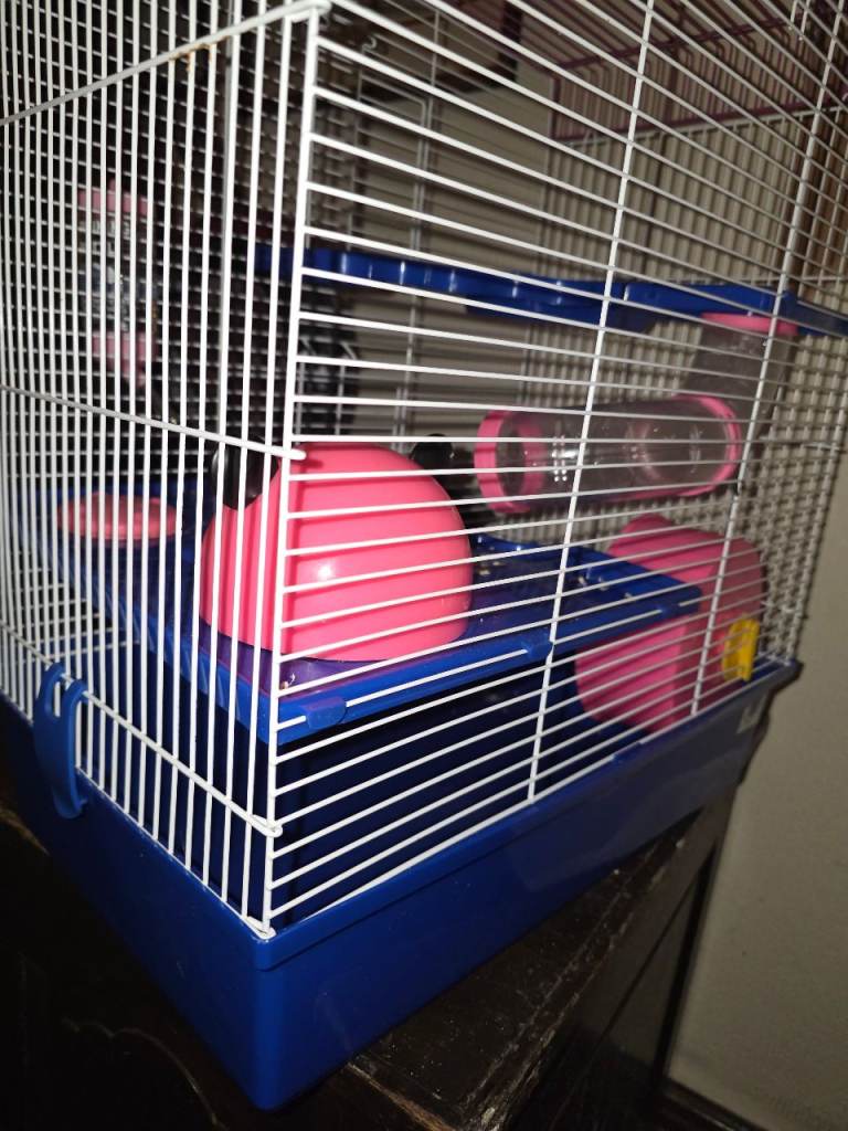 Hamster cage