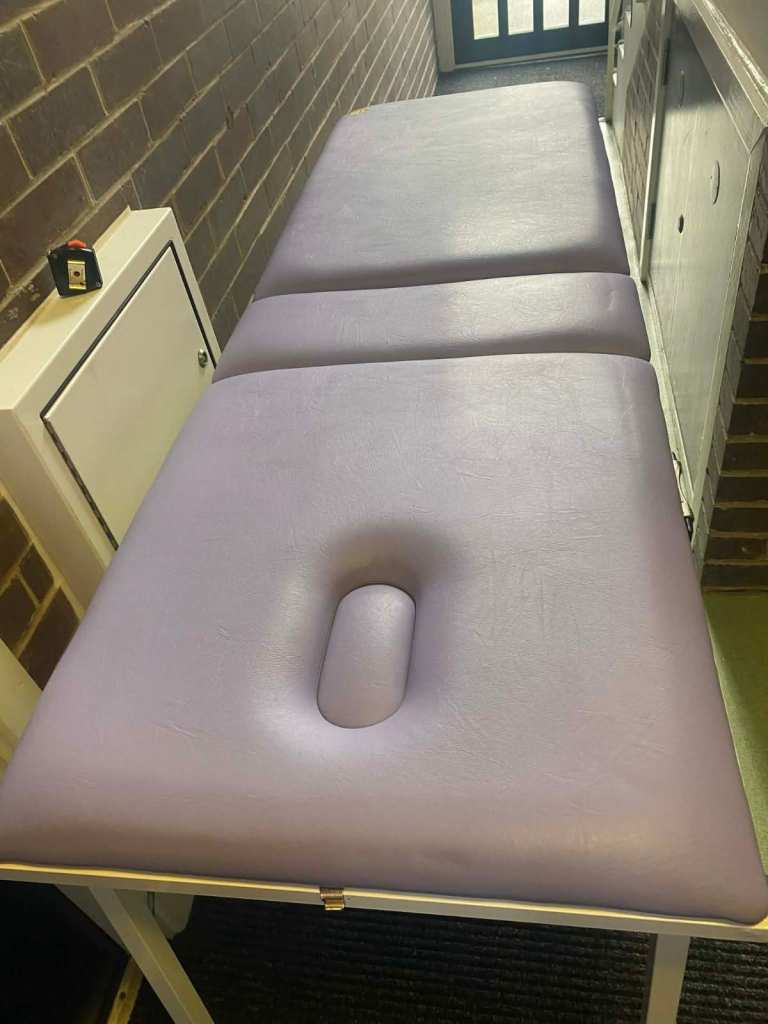 PROFESSIONAL PORTABLE MASSAGE- REIKI- THERAPY TABLE + CARRY CASE