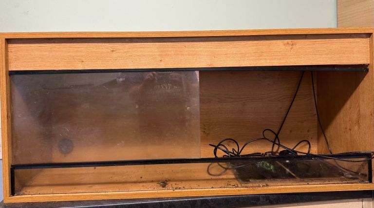 4ft Viv 2 available 