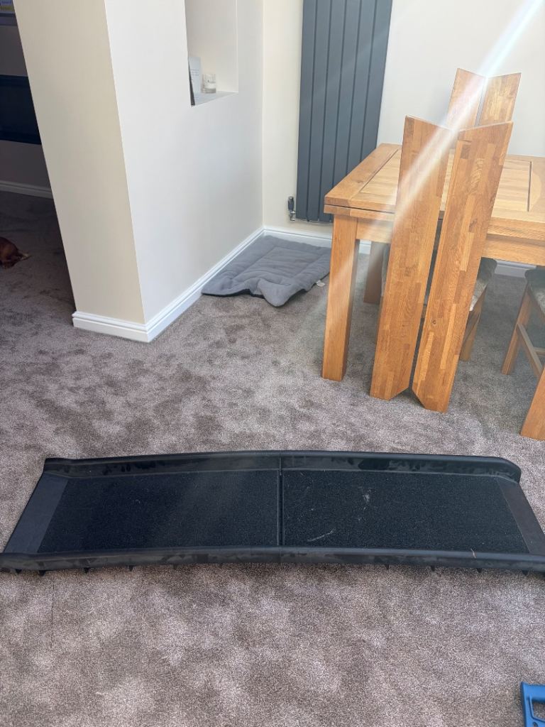 Dog steps