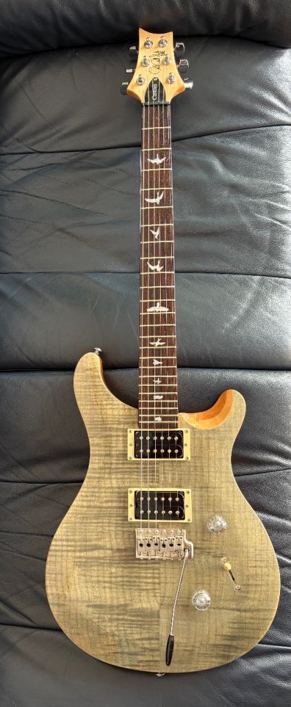 PRS SE Custom 24 Trampas Green - 2019