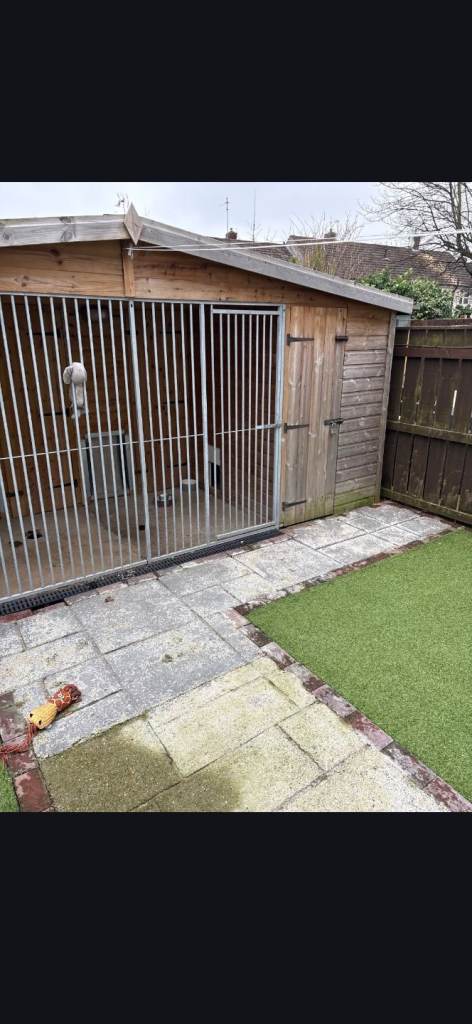 Dog run ln mint condition 