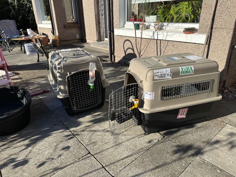 2x Petmate Sky Kennel / Vari-Kennel Ultra (32”) + 2x Large Plastic Dog Beds – Bundle