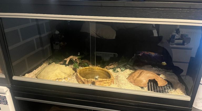 Reptile Vivarium for sale 