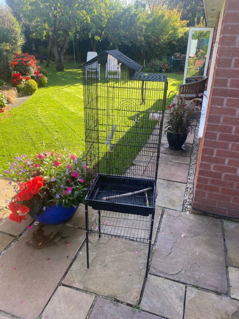 Bird Cage