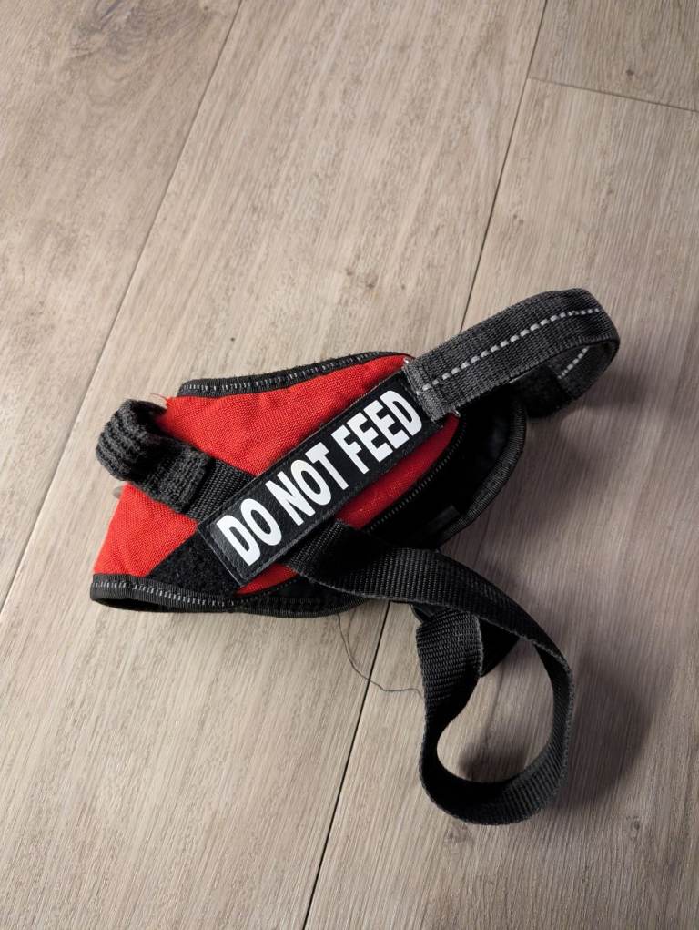 FREE Dog Harness