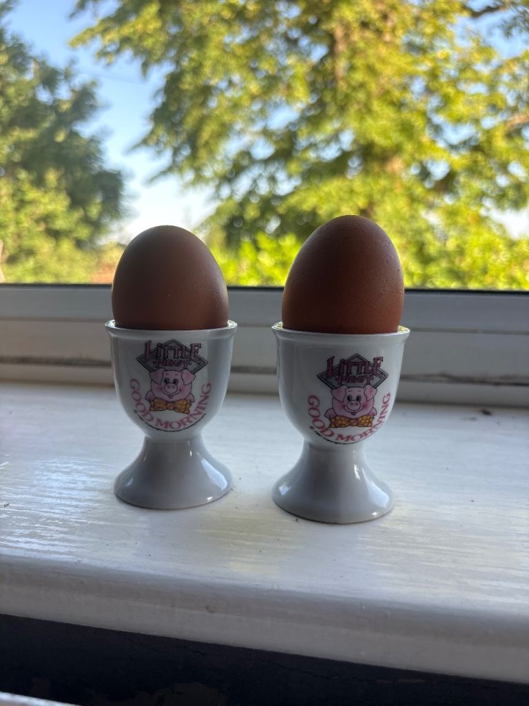 Pair of White Ceramic Piggy Egg Cups – Good Morning