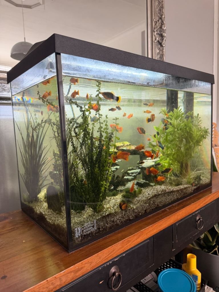 Aquarium with light and filter