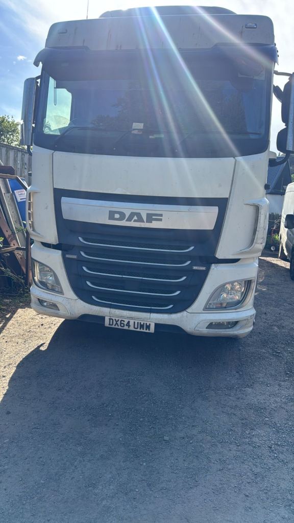 DAF Trucks, XF, Other, 2014, 10837 (cc)