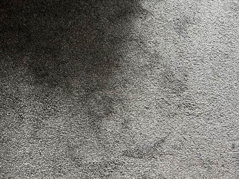Excellent quality carpet