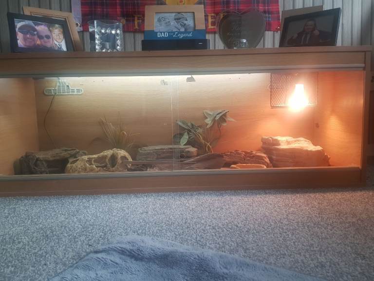 Vivarium 2x2x2 