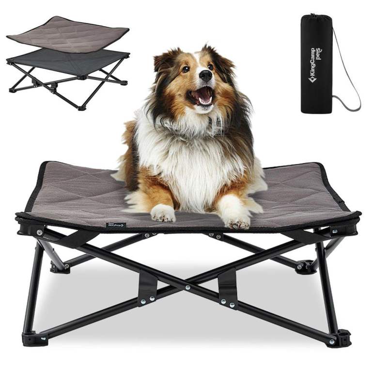 Folding dog bed