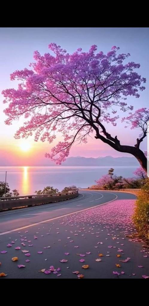 FULL BODY MASSAGE! GOLDERS GREEN!