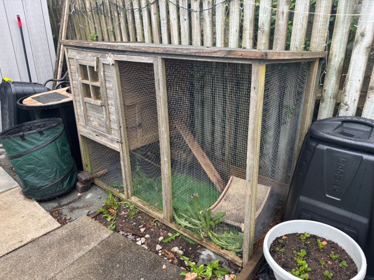Rabbit / cat / hen run