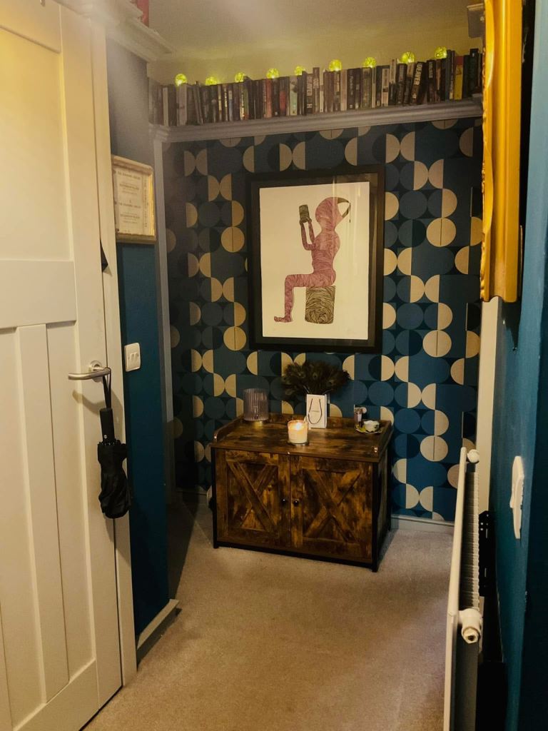 cupboard - cat litter tray storage