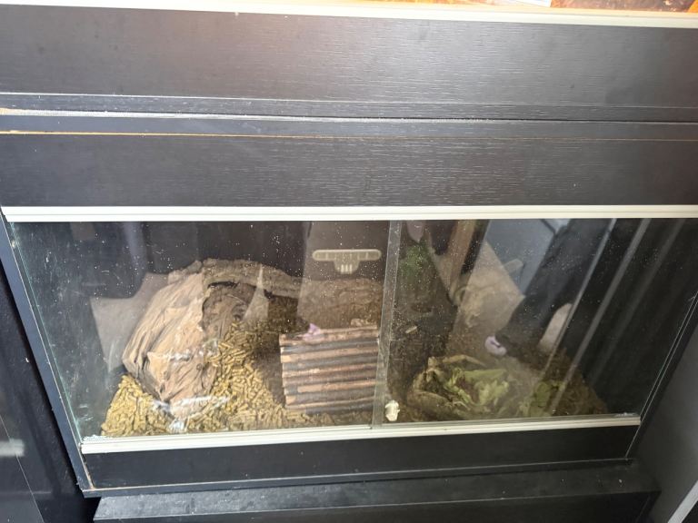2 x vivariums for sale £25 each