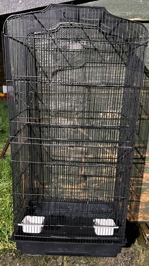 Bird cage available 