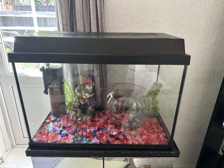 Fish tank 
