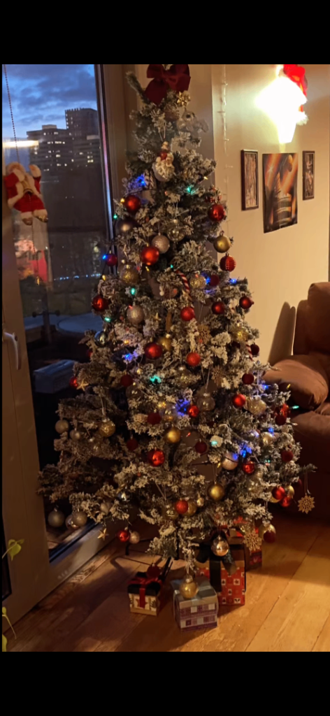 Free Christmas Tree( no ornaments included )