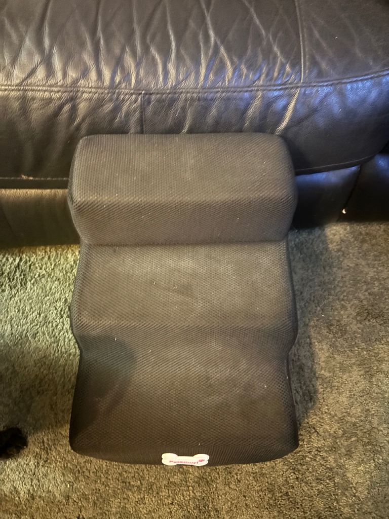 Set of pet steps small