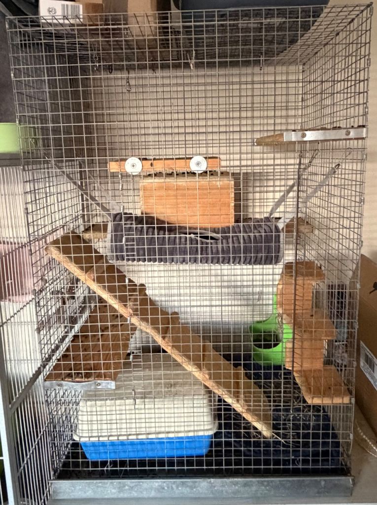 Cage for chinchilla 