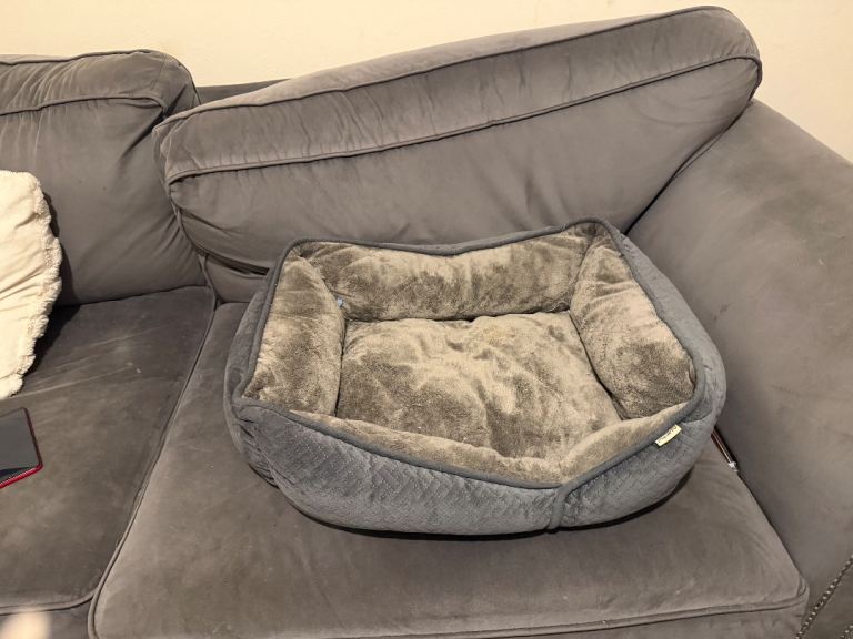 Puppy bed 