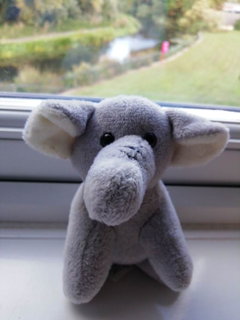 Cute Grey Elephant Soft Toy – As Good As New