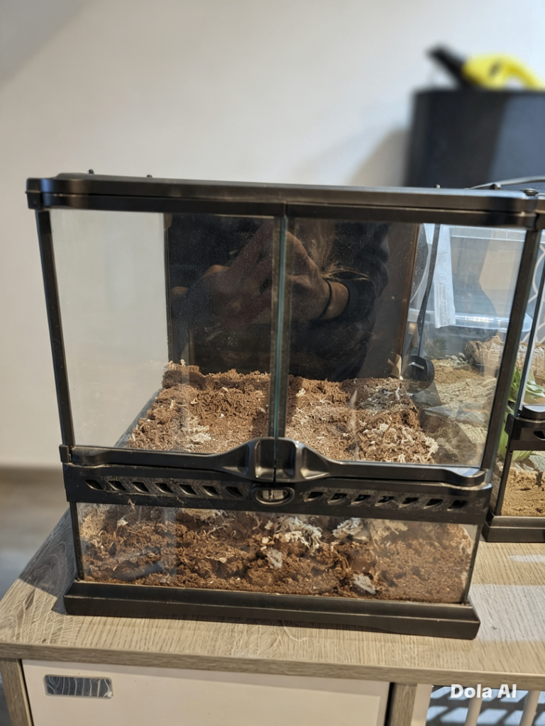 Exo Terra Vivarium Terrarium