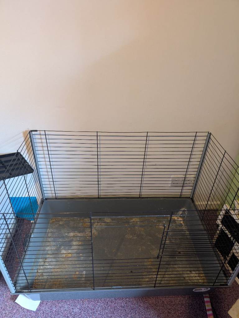 Used guinea pig or for small rabbit indoor cage 