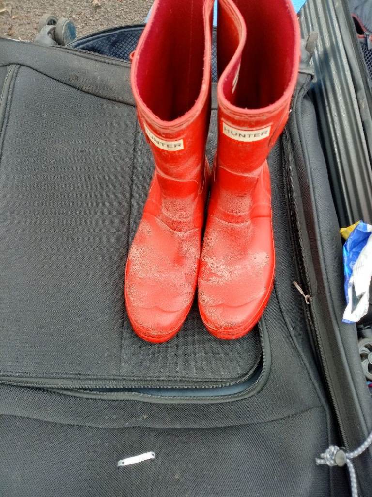 Hunter Wellies