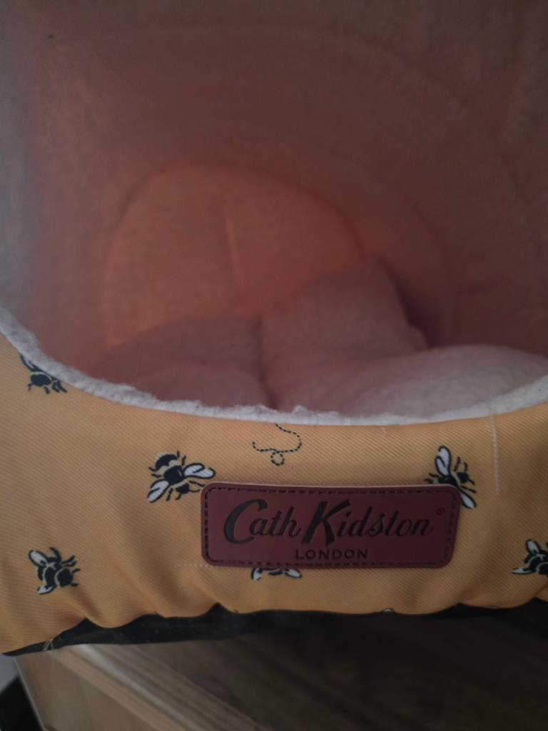 Like new cat