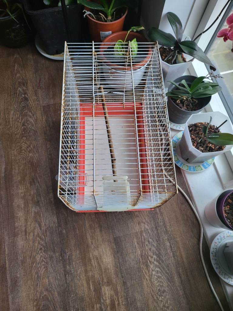 good condition  bird  cage 
