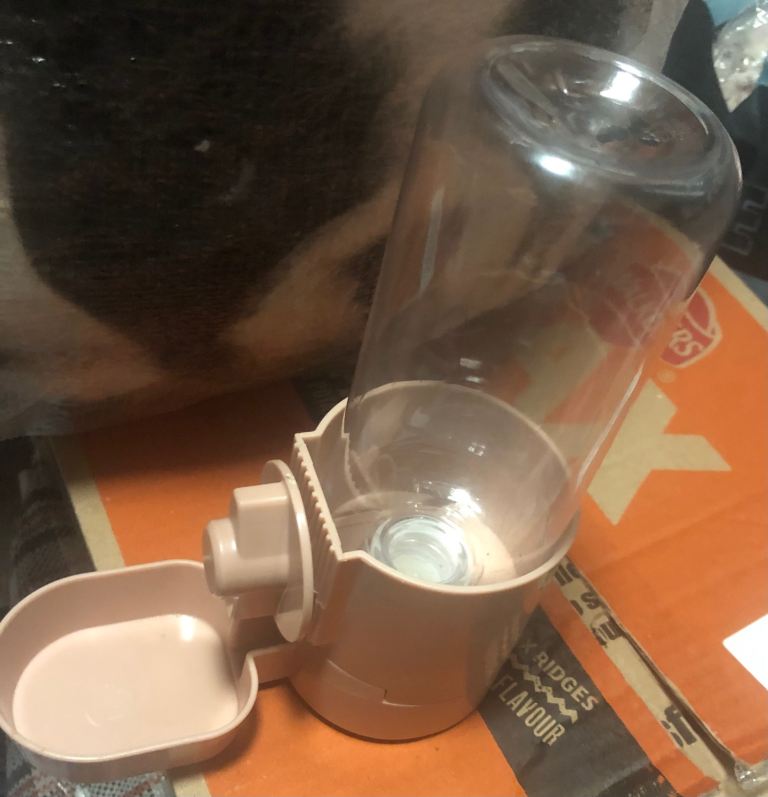 Pink pet water dispenser 