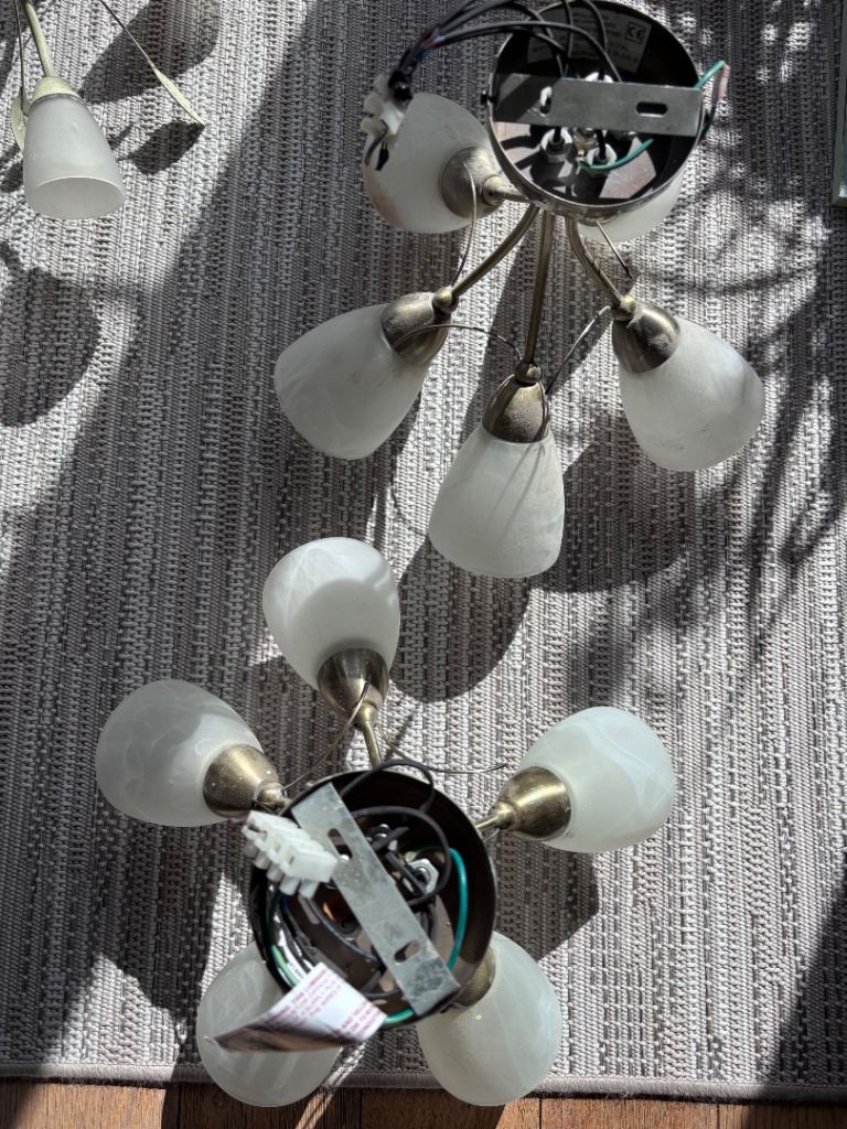 Ceiling Light Fixture with 5 Frosted Glass Shades