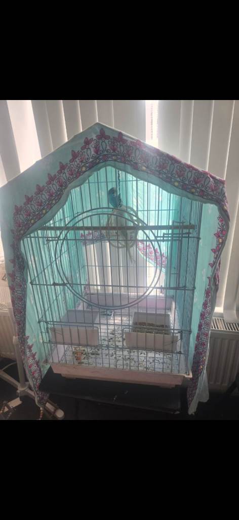 Bird cage for sale